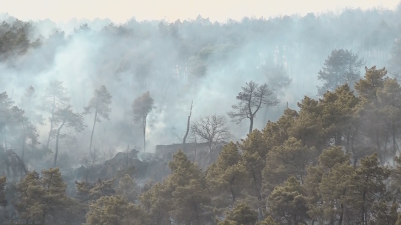 120 minutos 13.07.2022 (parte 2)