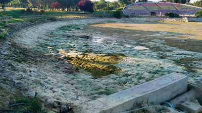 La presencia de algas en el lago del Parque de las Cruces de Carabanchel, ¿causa de la muerte de su fauna?