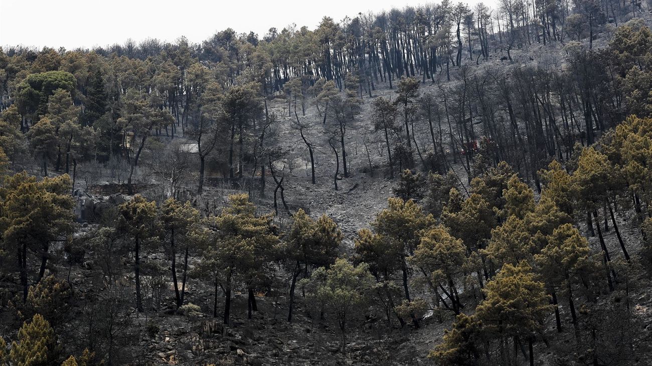 16 dotaciones de bomberos trabajan en labores de refresco para controlar el incendio de Collado Mediano