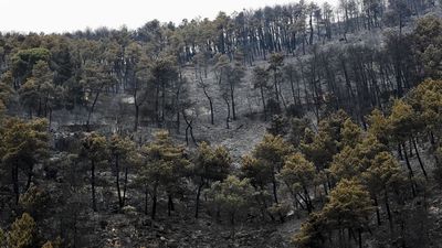 16 dotaciones de bomberos trabajan en labores de refresco para controlar el incendio de Collado Mediano