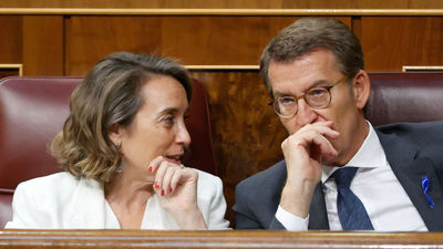 El PP “facilitará” la aprobación del decreto anticrisis con su abstención