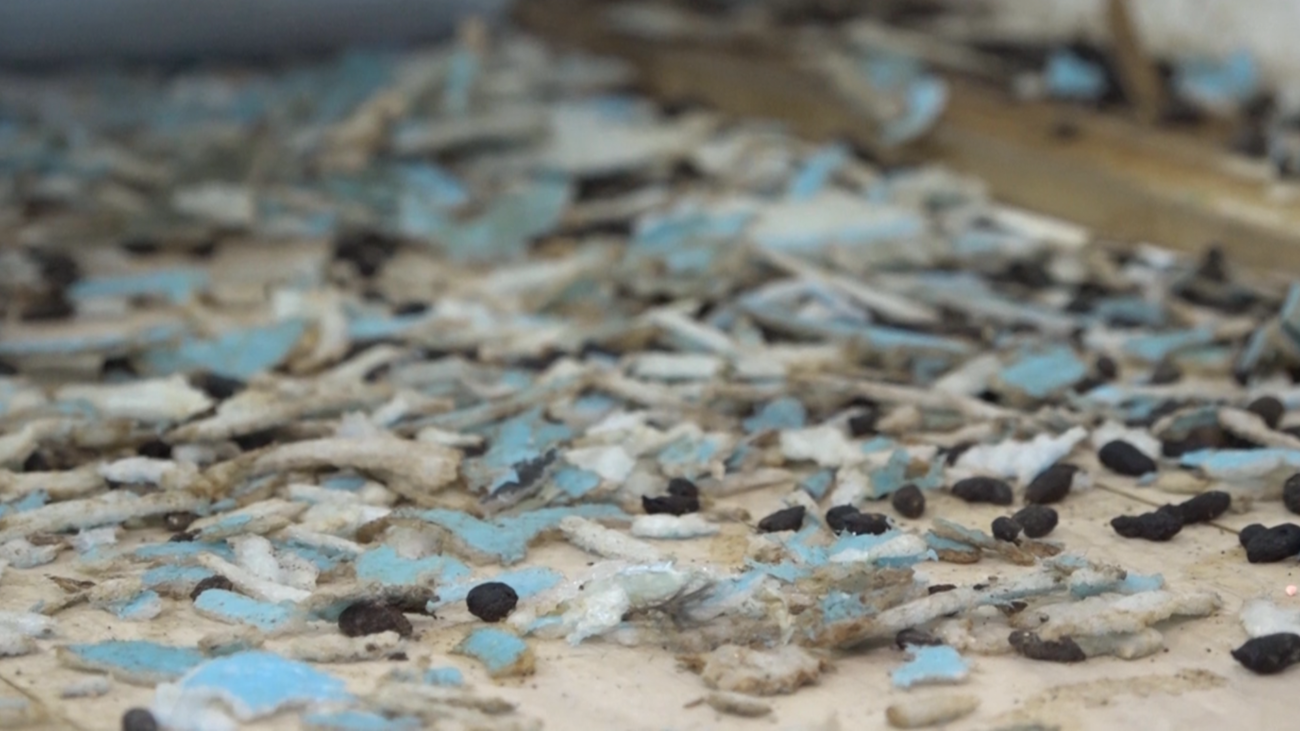 Casi 10 años soportando aguas fecales en su local de Parla