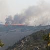 Los incendios de Cáceres y Salamanca destruyen algunos de los mayores bosques de coníferas