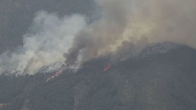 Las llamas dan un respiro en Castilla y León con una mejoría en los incendios de Monsagro, Figueruela y Roelos