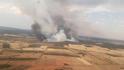 Muere un brigadista que trabajaba en la extinción del incendio de Losacio  en Zamora