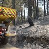 Madrid carga contra Sánchez por "no haber coordinado nada" en materia de incendios