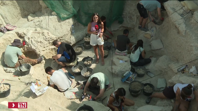Treinta años del yacimiento madrileño en el que se halló el tigre dientes de sable