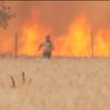 Un agricultor escapa en llamas del incendio de Zamora