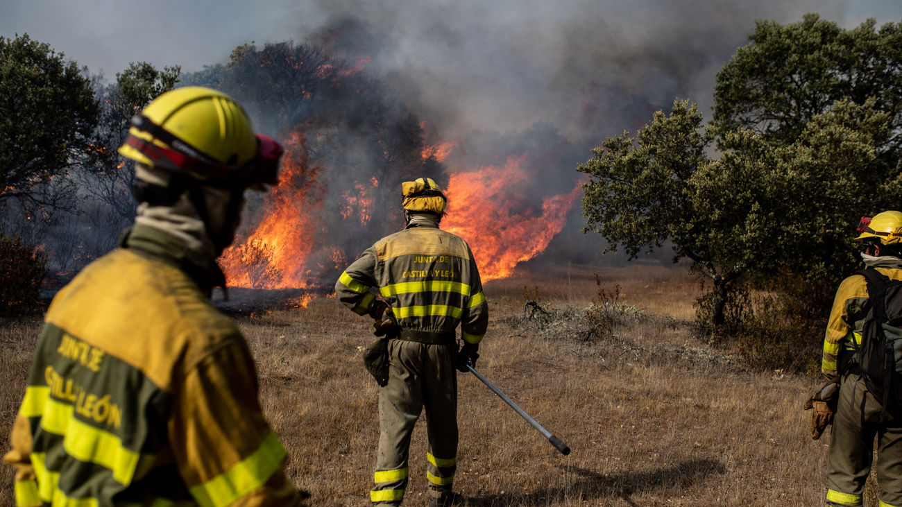 Los incendios arrasan ya más de 30.000 hectáreas en solo una semana en toda España