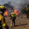 Los incendios arrasan ya más de 30.000 hectáreas en solo una semana en toda España