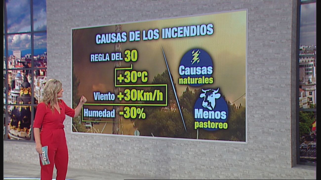 ¿Quién está detrás de los incendios? ¿Qué penas se imponen a los que los provocan?