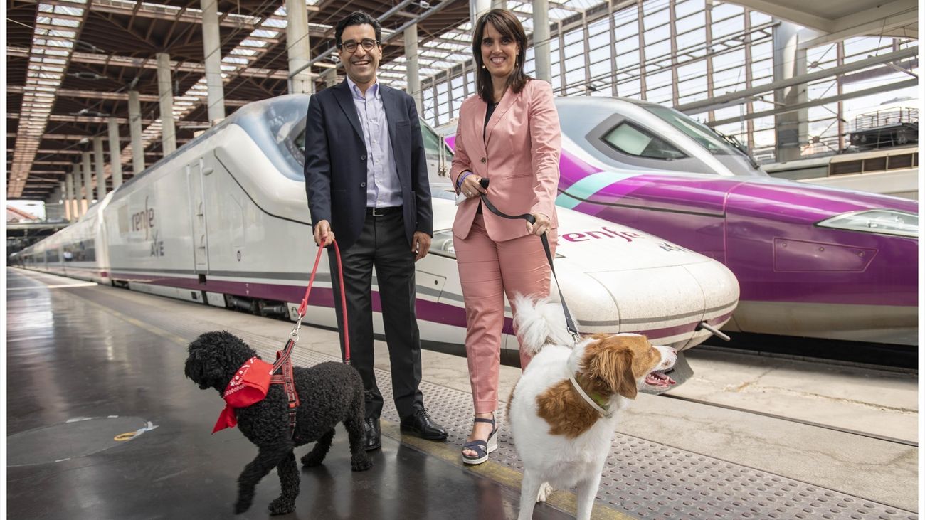 Renfe hará una prueba piloto para permitir viajar con perros grandes de hasta 40 kg en los AVE