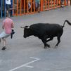 Mueren tres hombres tras ser corneados en festejos taurinos de Valencia