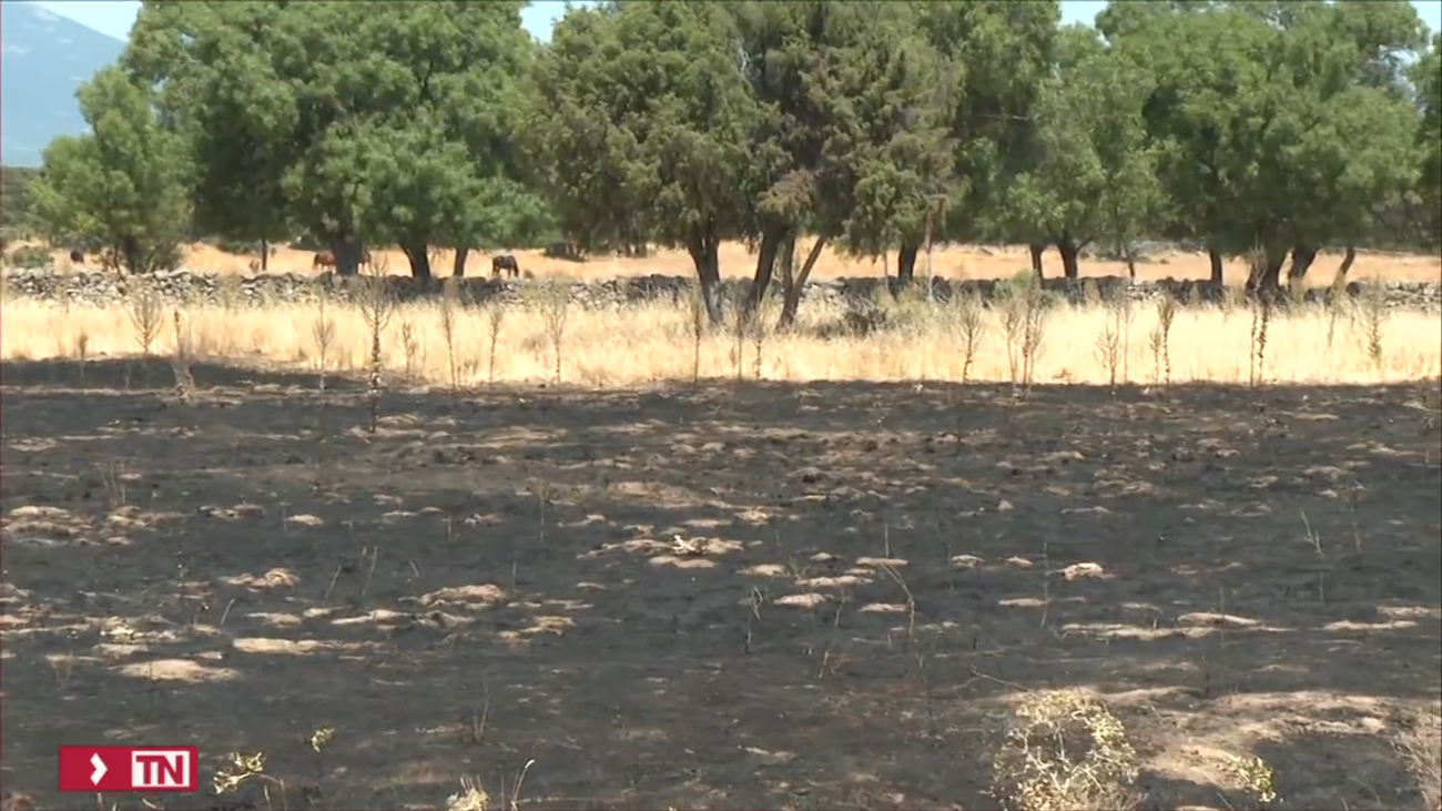 Detienen a un pirómano en Colmenar Viejo por provocar un incendio forestal