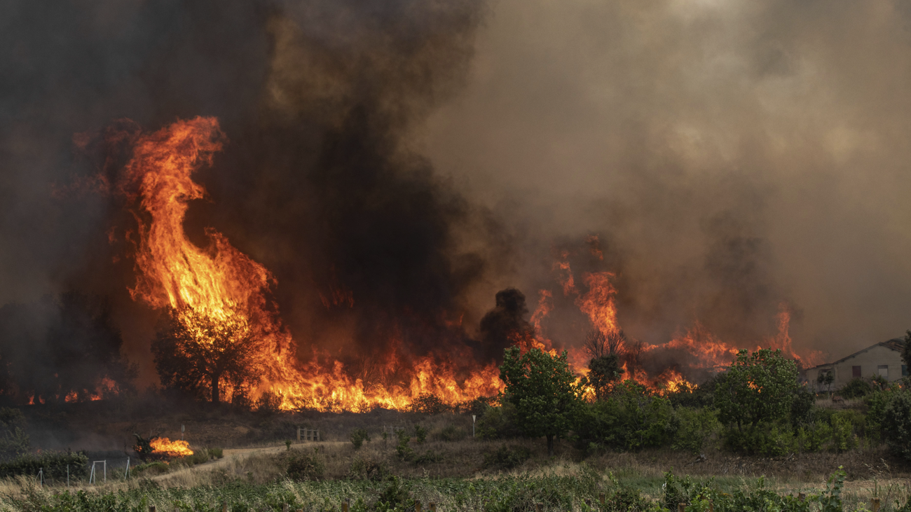 ¿Qué hacer si nos sorprende un fuego en medio del campo?