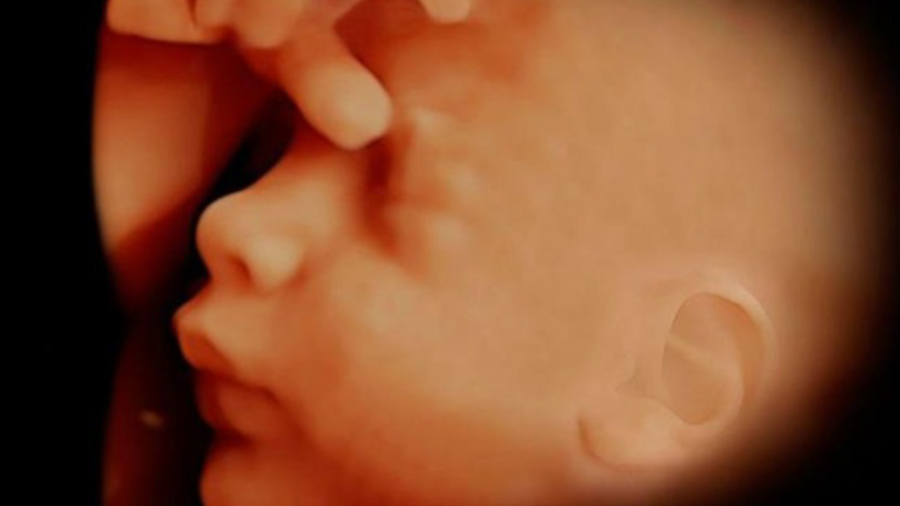 Ecografías 5D en pantallas de cine