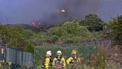 Canarias pide subir a nivel 2  el incendio de Tenerife y la intervención de la UME