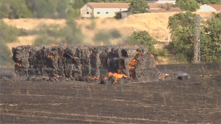 Unas pacas de paja / REDACCIÓN