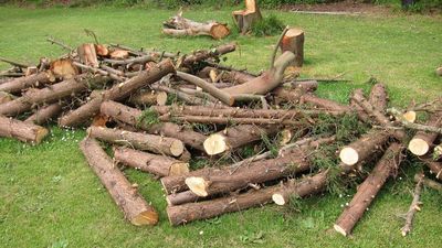 Los suizos agotan las existencias de madera ante una previsible crisis de gas en invierno