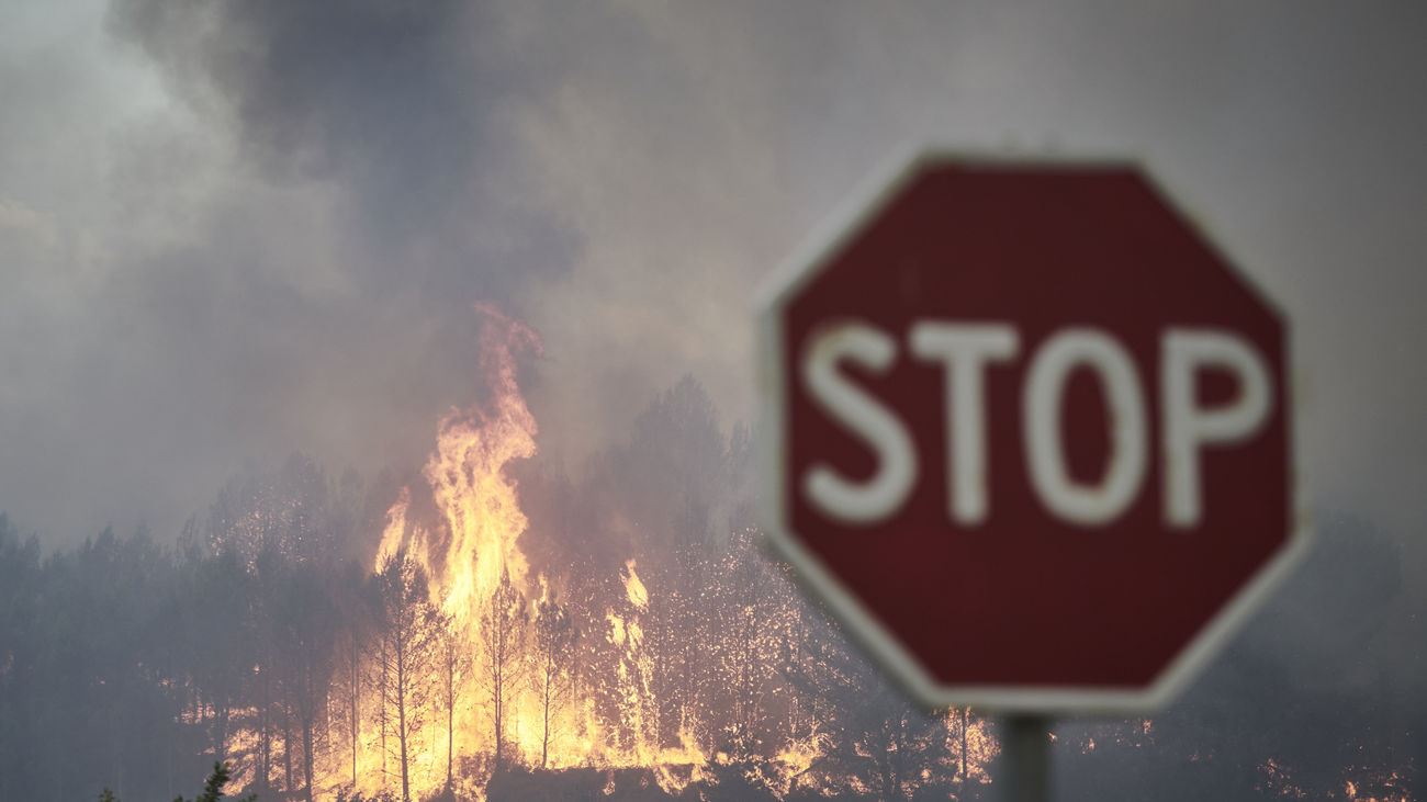 Una señal de Stop con un incendio forestal detrás