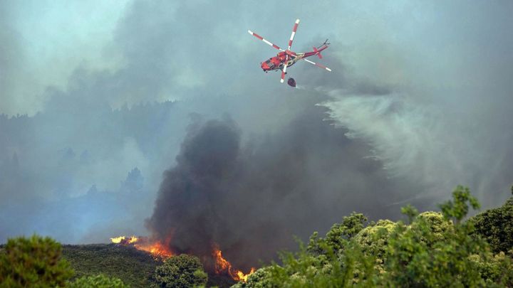 Incendio forestal en Los Realejos, en Tenerife / EFE