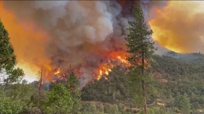 Europa y Estados Unidos, grandes afectadas por las llamas