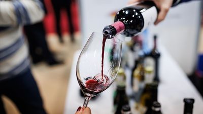 Madrid es 'Tierra de Vinos', descúbrelo con el enoturismo