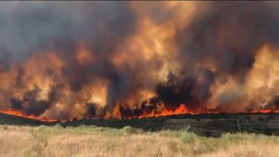 Los incendios en España siguen sin control: arrasan numerosas viviendas y miles de hectáreas