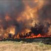Los incendios en España siguen sin control: arrasan numerosas viviendas y miles de hectáreas