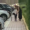 Vecinos de Móstoles denuncian a una pareja por maltratar a su perro