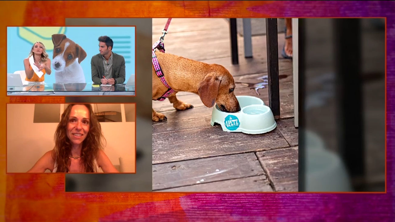 Primer restaurante para perros de España