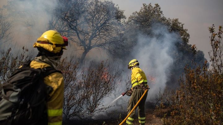 Extinción de uno de los incendios declarados en áreas forestales de Zamora / EFE