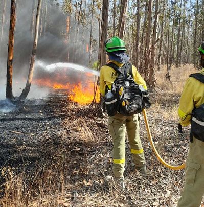 Efectivos del plan andaluz contra incendios Infoca / INFOCA