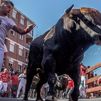Sanse retoma su concurso de fotos del encierro tras dos años sin toros