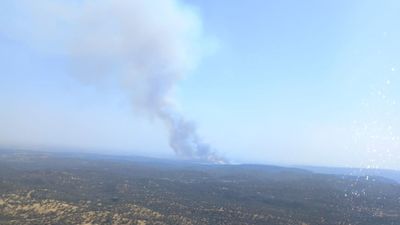 7 pasos que debes saber si ves fuego o una columna humo