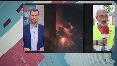 El Colegio de Ingenieros Forestales exige "un plan comunitario que desde Europa ayude al plan nacional contra incendios"