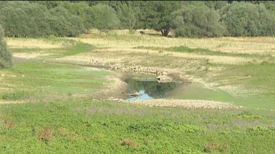 El volumen de agua para el consumo en España alcanza su nivel más bajo en una década
