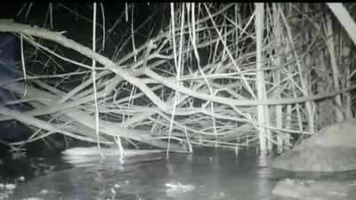 El Boalo denuncia cortes en el río Samburiel que hacen agonizar a sus peces