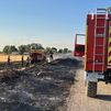 Controlado el incendio del campo de cereales de Velilla de San Antonio