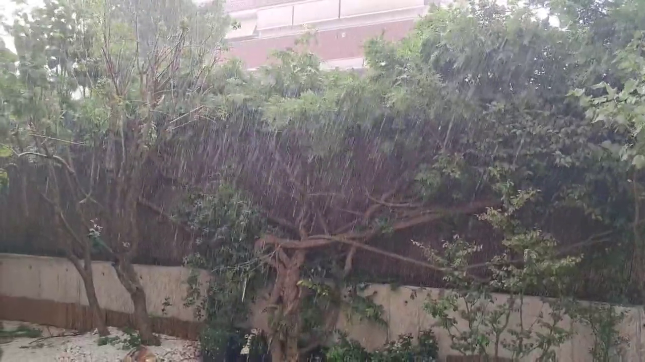 120 minutos 31.08.2022 (parte 1)