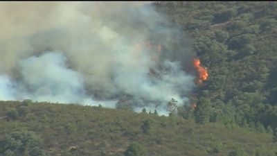 Evoluciona favorablemente el incendio en los Montes de Toledo