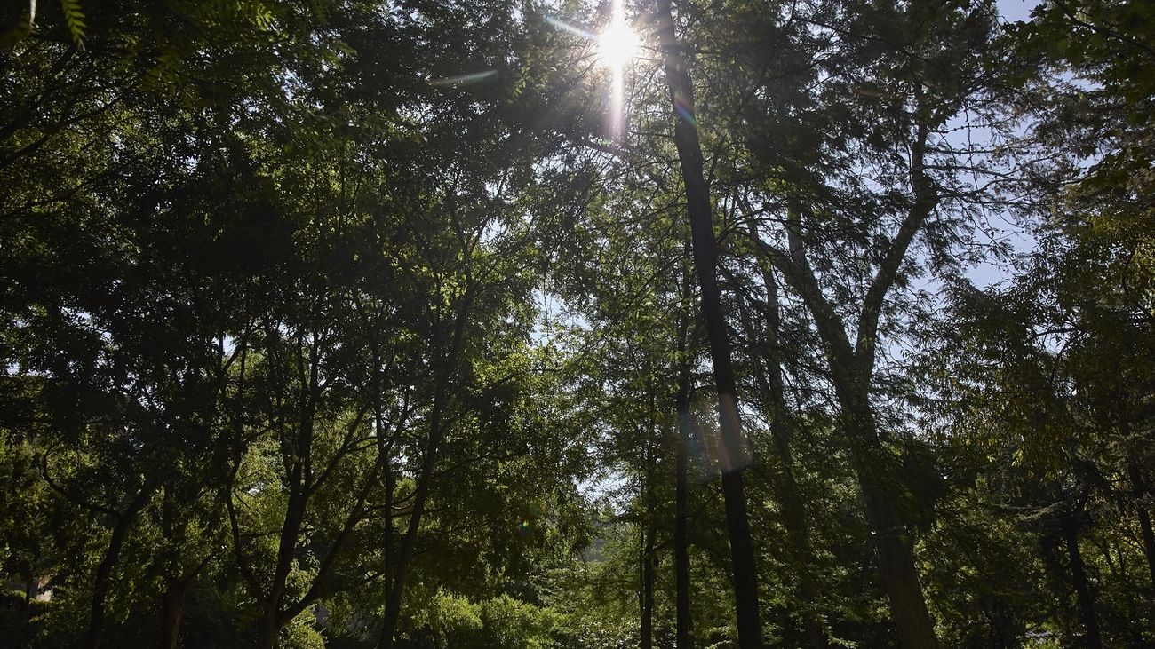 El Retiro y otros ocho parques de Madrid mantendrán zonas balizadas desde las 21:00 horas