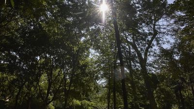 El Retiro y otros ocho parques de Madrid mantendrán zonas balizadas desde las 21:00 horas