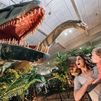 'La isla de los dinosaurios' llega al centro comercial Xanadú durante el mes de agosto