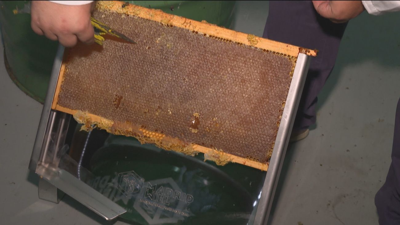 La exportación, uno de los principales motores de crecimiento de Madrid