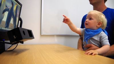 Descubren una mutación causante de una enfermedad rara que afecta al riñón e intestinos de los bebés