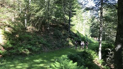 Madrid ofrece más de 100 actividades medioambientales gratuitas