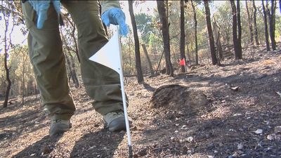 Acompañamos a un equipo de agentes forestales en la investigación de un incendio
