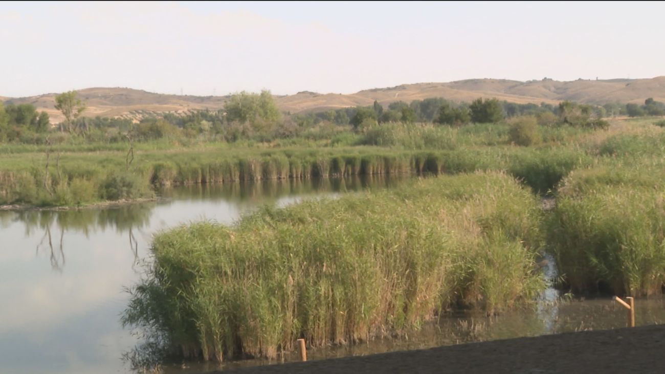 Madrid trabaja en la recuperación de sus 23 humedales