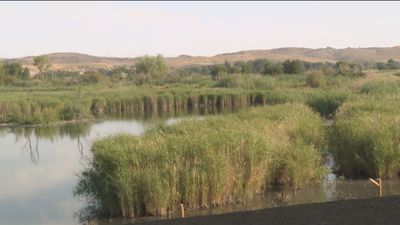 Madrid trabaja en la recuperación de sus 23 humedales